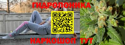 шишки Ливны